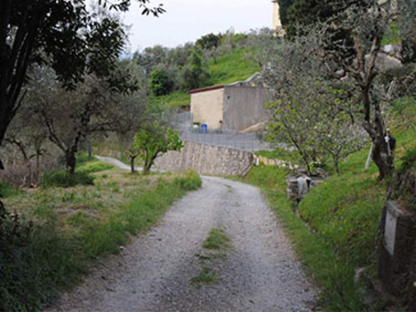 villa frazione Matraia, località “Manasse”, via di Matraia s.n.c. CAPANNORI